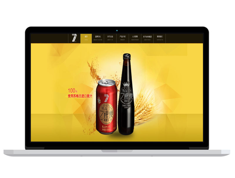 上海啤酒公司高端官網(wǎng) B2C高端商務網(wǎng)站 google亞馬遜推廣